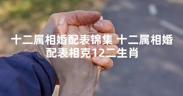 十二属相婚配表锦集 十二属相婚配表相克12二生肖
